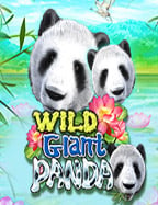 ชวนเพื่อนเล่นสล็อต 168xo แล้วจะรู้ว่าทำไมมันฮิตมาก!